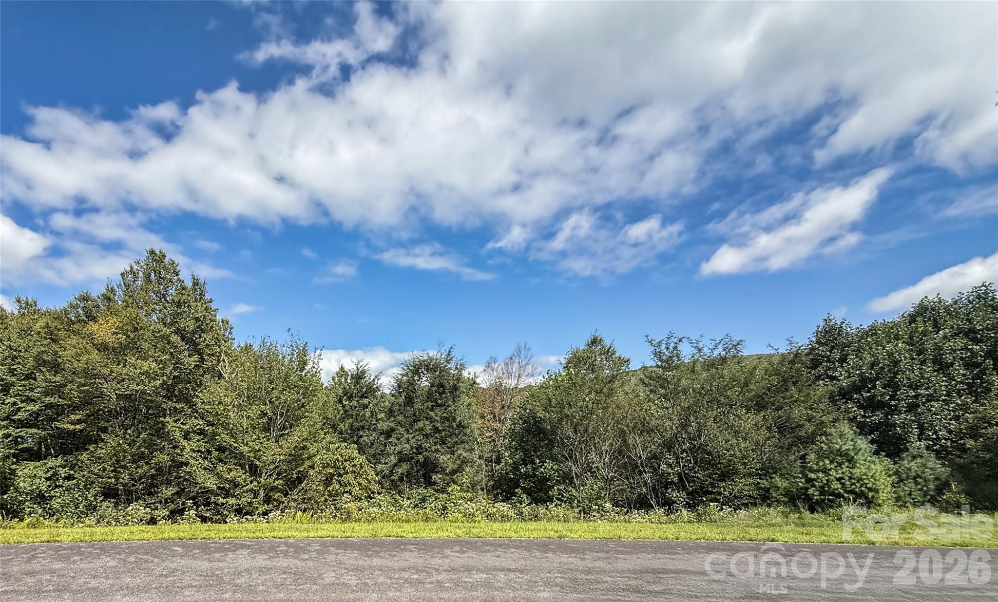 Tbd Wapiti Way, Unit 5 Boone, NC 28607 - Photo 9 of 9