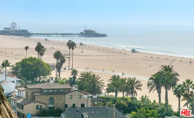 a view of a lake with a beach and palm trees