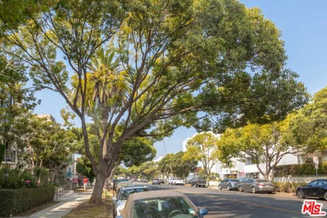 a view of city street with lots of trees
