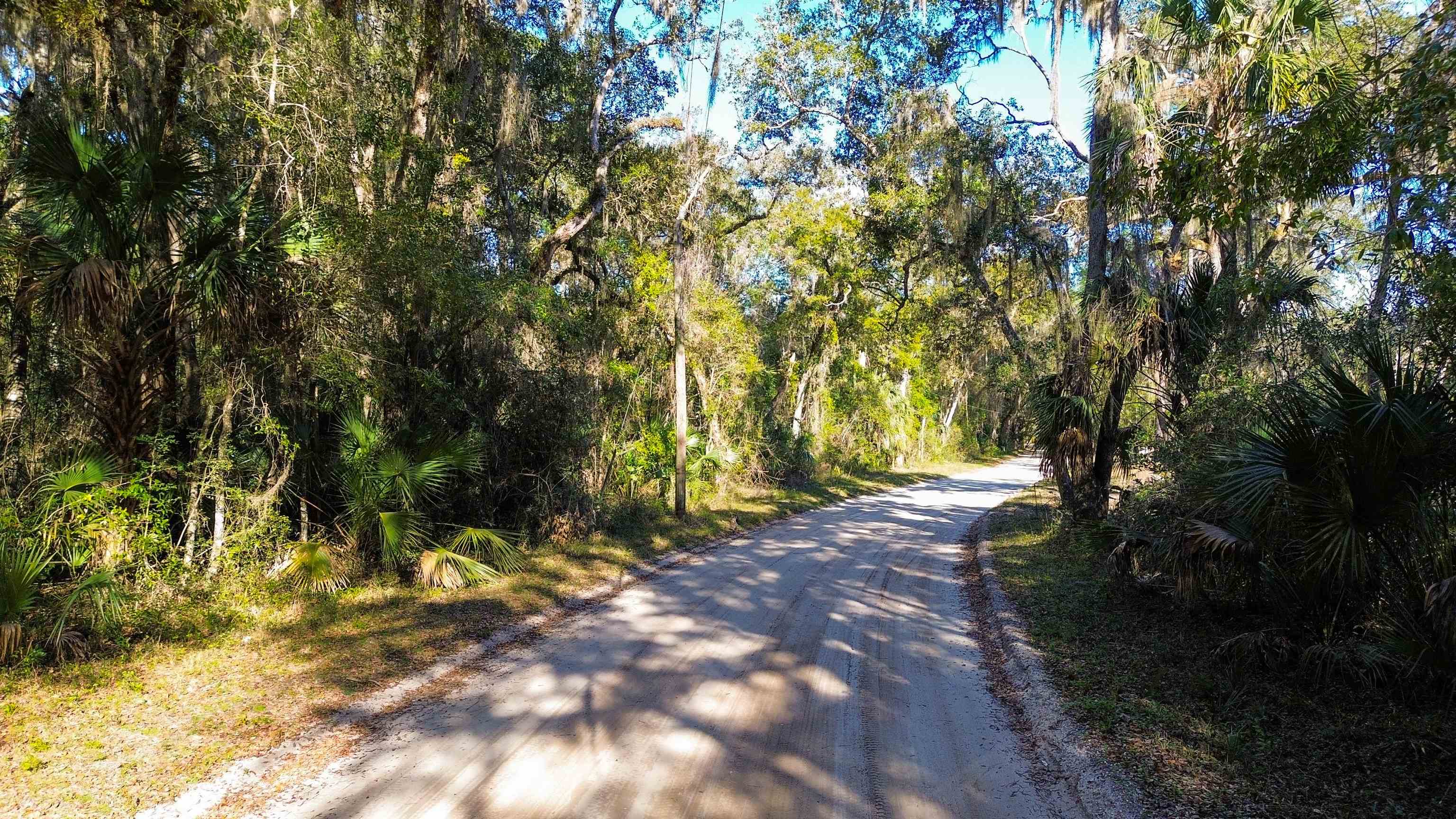 Pine Island Rd Street St. Augustine, FL 32095 - Photo 14 of 20 Gallery Image 14