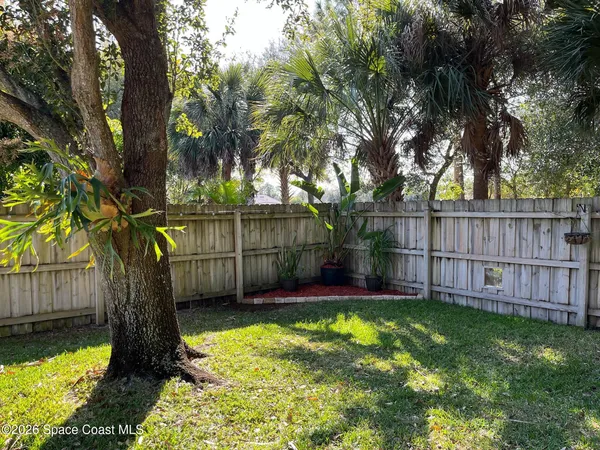 a view of backyard with tree