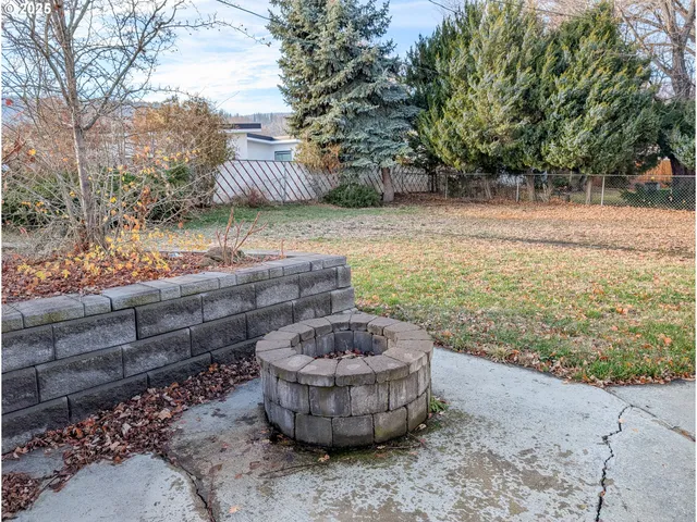 a view of a backyard with plants