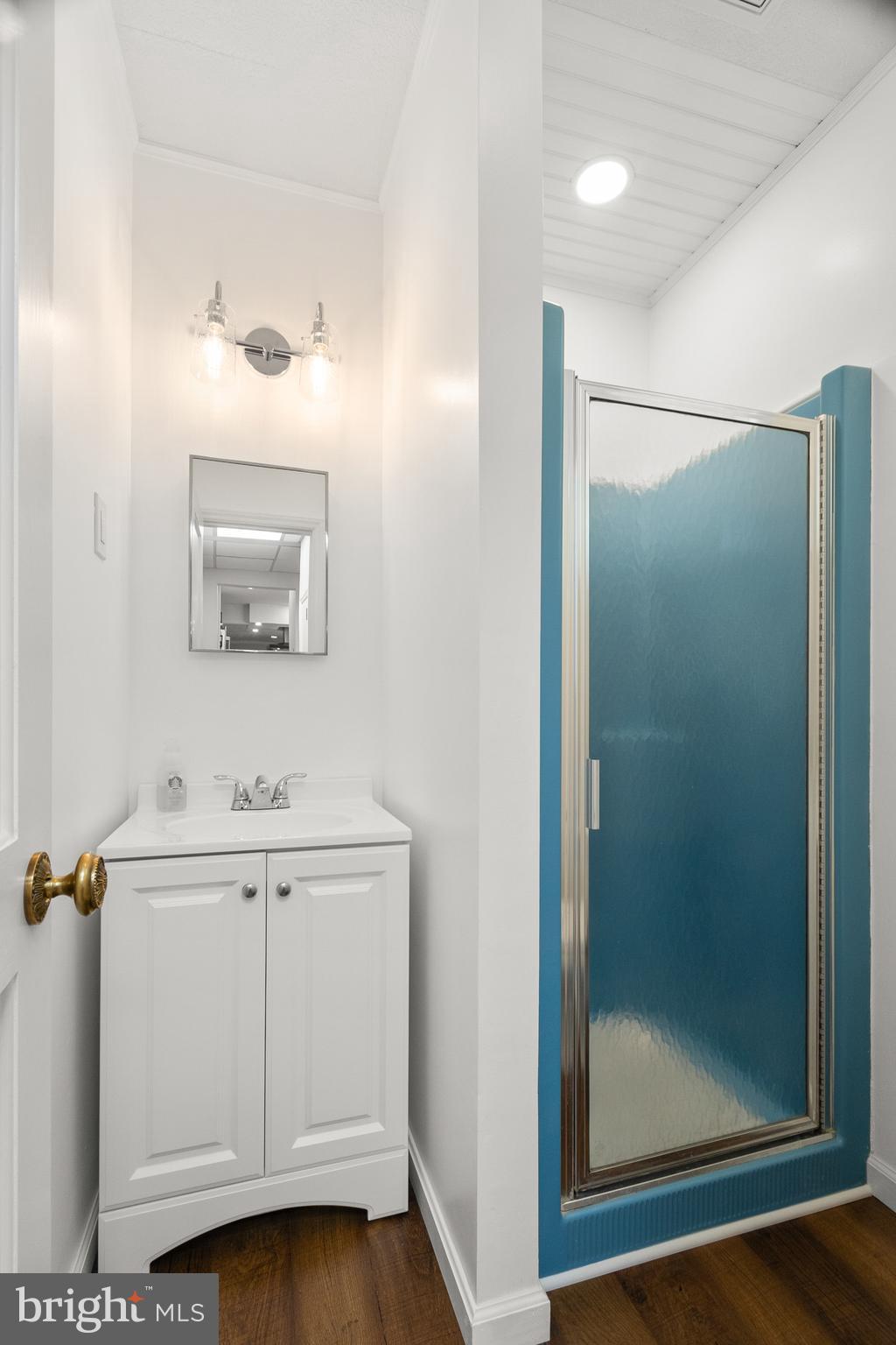 1604 Ironside Road Newark, DE 19702 - Photo 40 of 113 Full bath