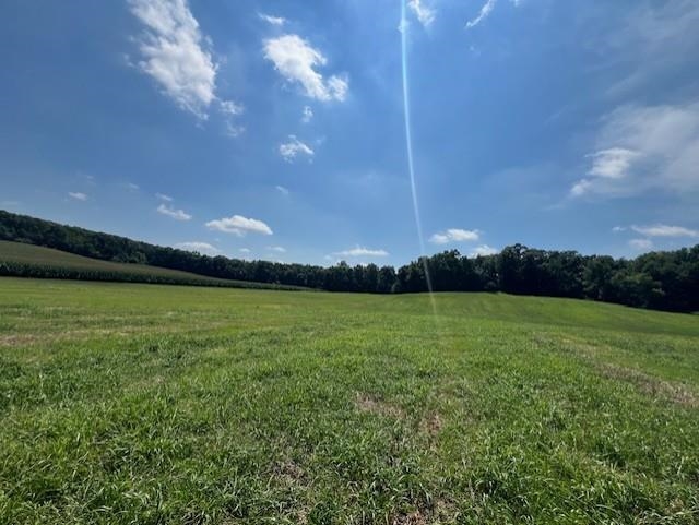 L12 Lindale Cross Plains, WI 53528 - Photo 6 of 14