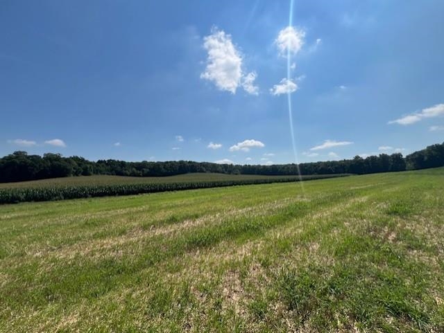 L12 Lindale Cross Plains, WI 53528 - Photo 7 of 14