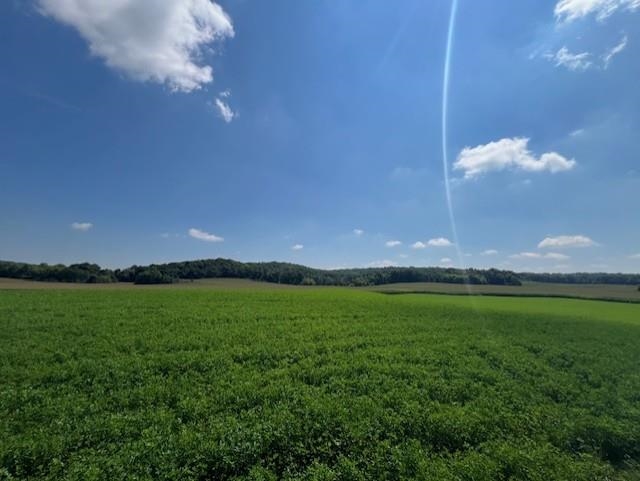 L12 Lindale Cross Plains, WI 53528 - Photo 8 of 14