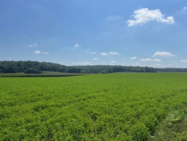 L12 Lindale Cross Plains, WI 53528 - Photo 10 of 14