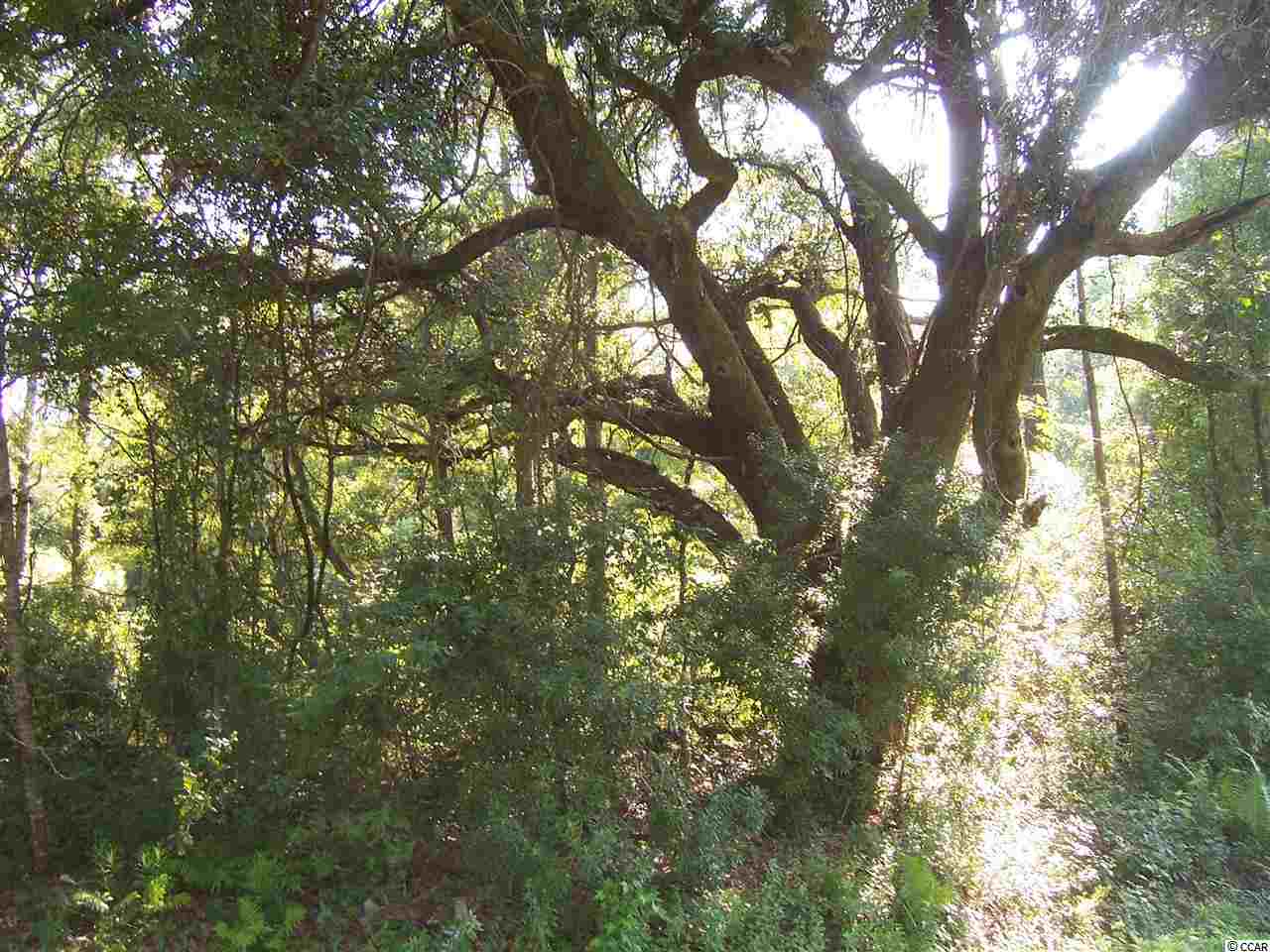 T B D Daisy Road Loris, SC 29569 - Photo 1 of 3 Gallery Image 1