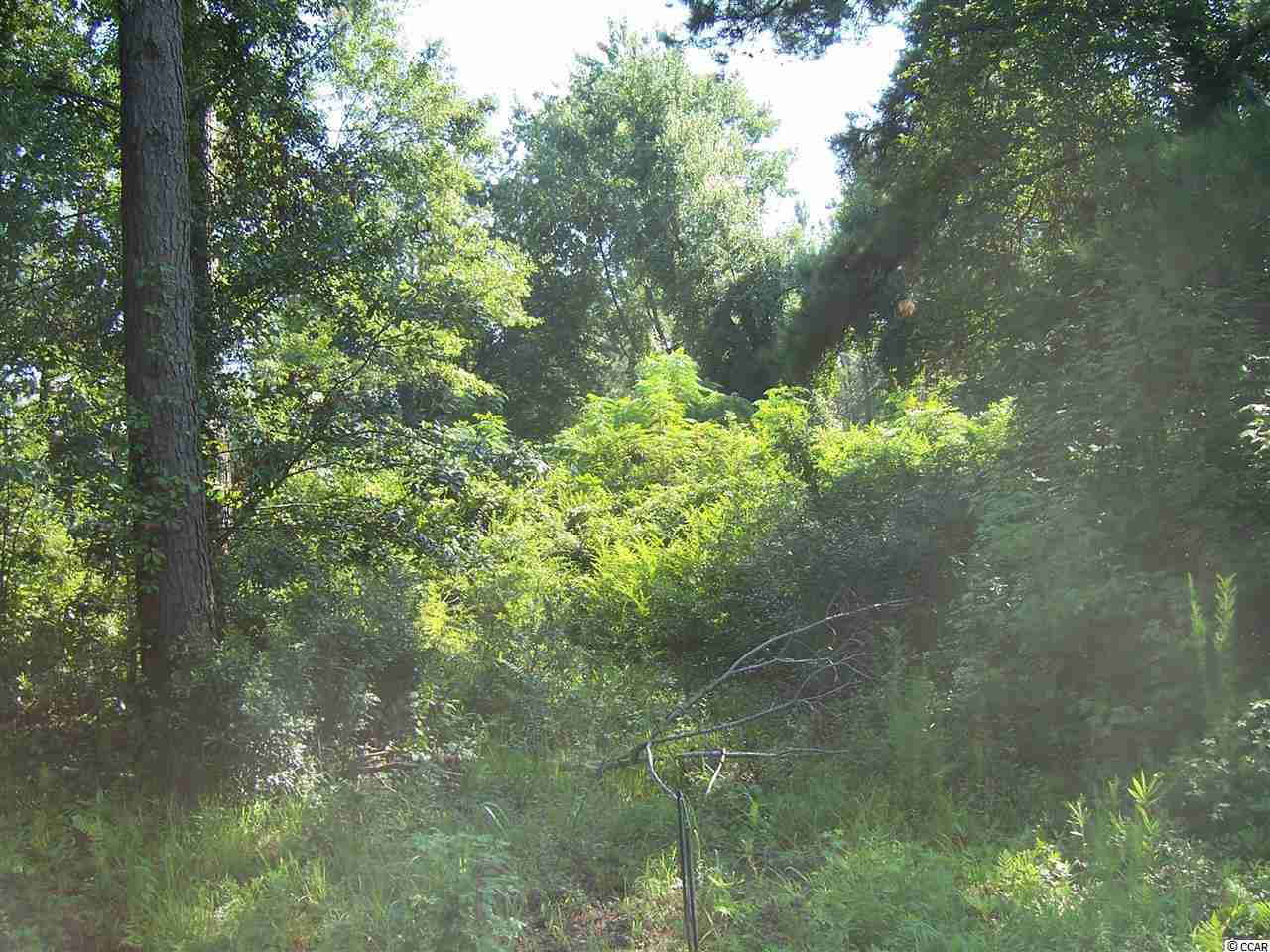 T B D Daisy Road Loris, SC 29569 - Photo 2 of 3 Gallery Image 2