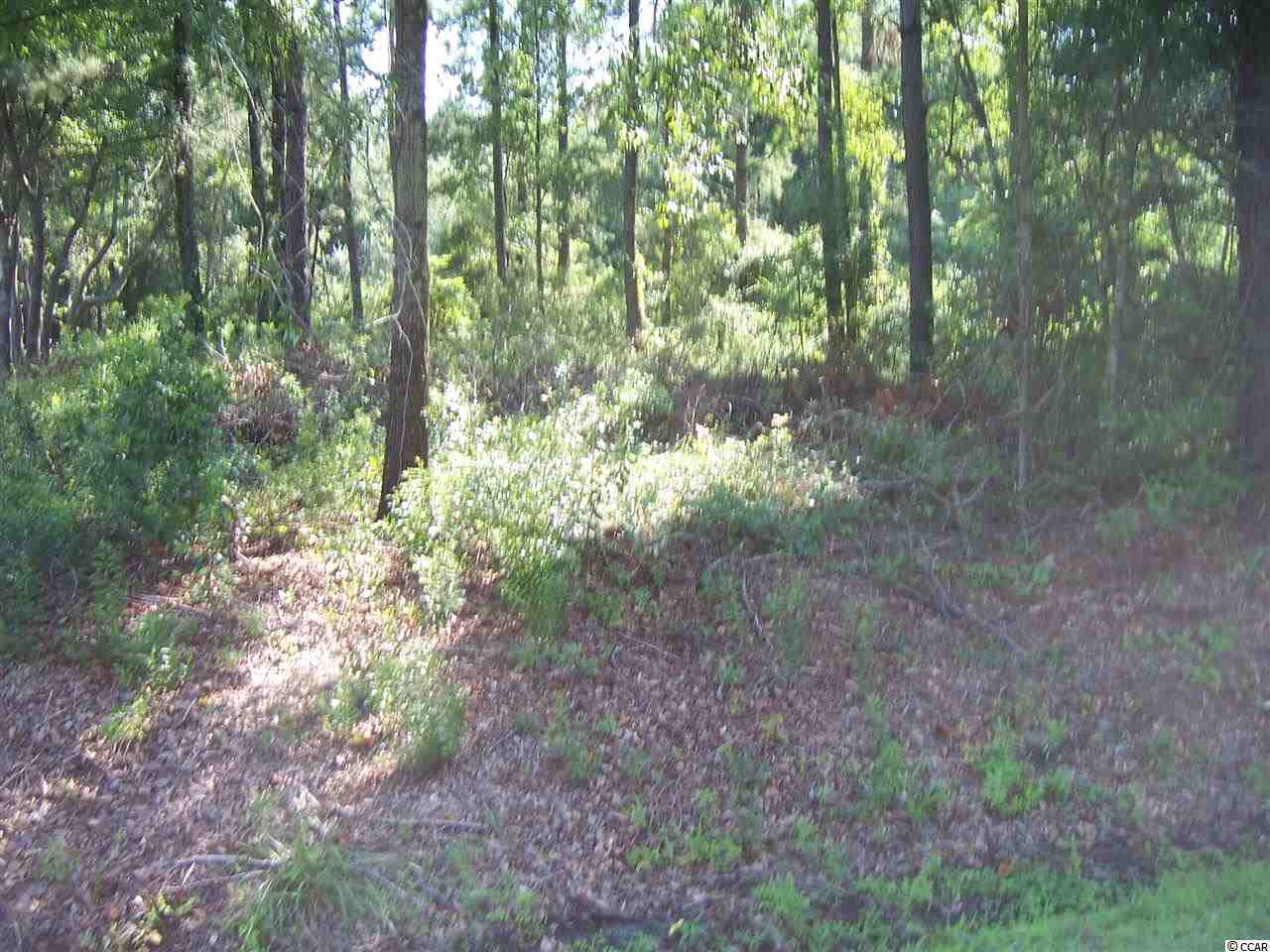 T B D Daisy Road Loris, SC 29569 - Photo 3 of 3 Gallery Image 3