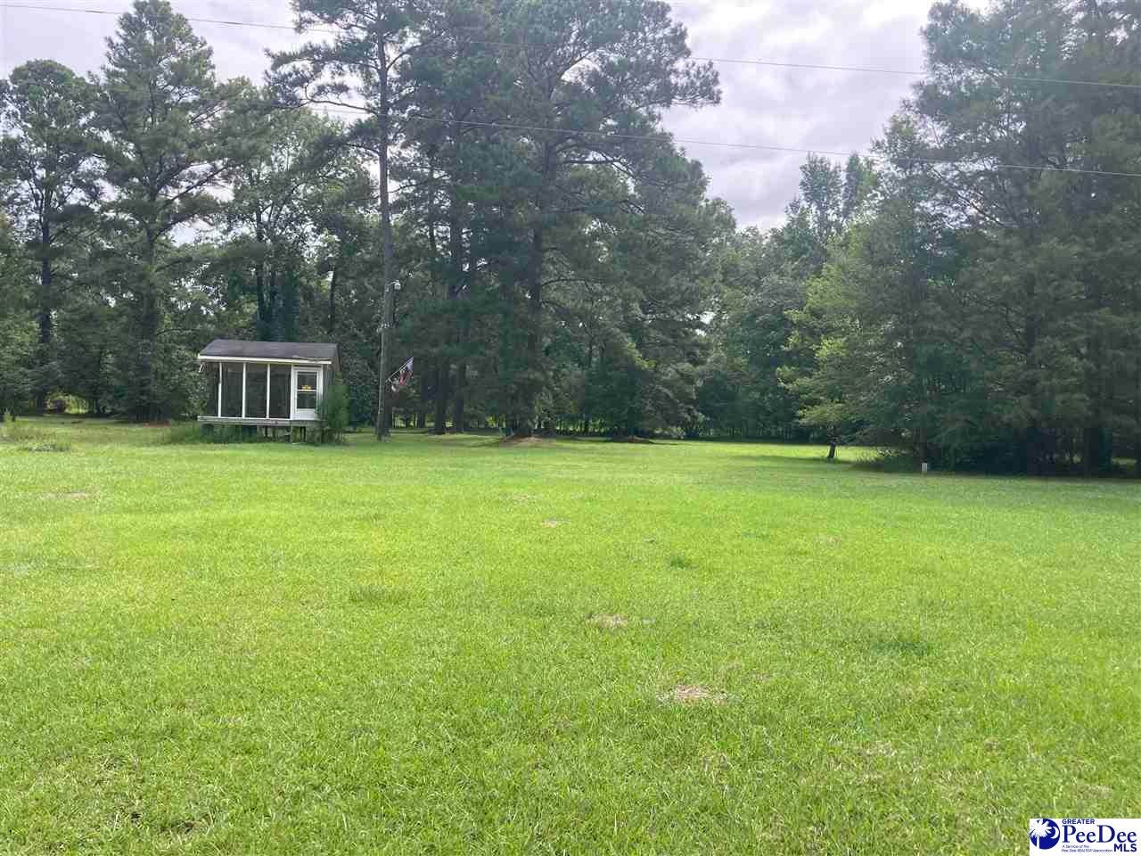 1354 Pleasant Hill Road Hamer, SC 29547 - Photo 6 of 15 Gallery Image 6
