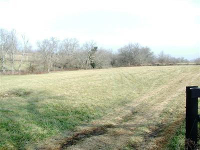 0 Walnut Creek Drive Georgetown, KY 40324 - Photo 6 of 7 Photo 6