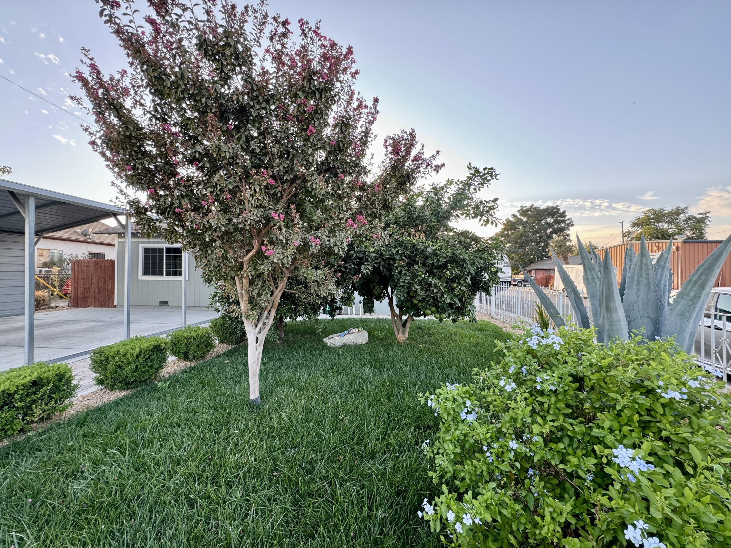 360 North Filbert Road Exeter, CA 93221 - Photo 28 of 42 IMG_5032