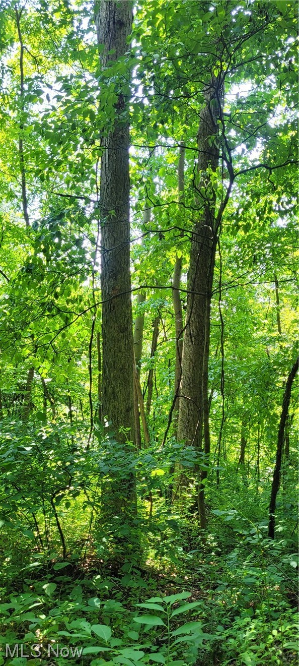 Southeast Edwards Ridge Road Southeast Uhrichsville, OH 44683 - Photo 16 of 34 Gallery Image 16