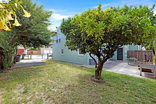 a tree in the garden of a house