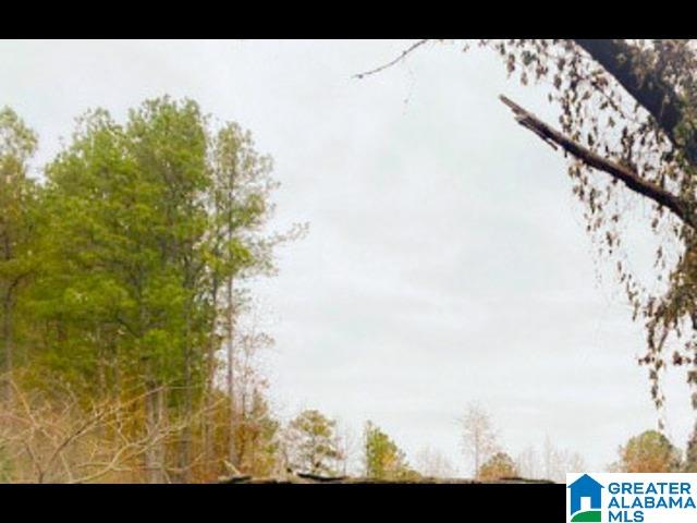 County Road, Unit 486 Roanoke, AL 36274 - Photo 9 of 13