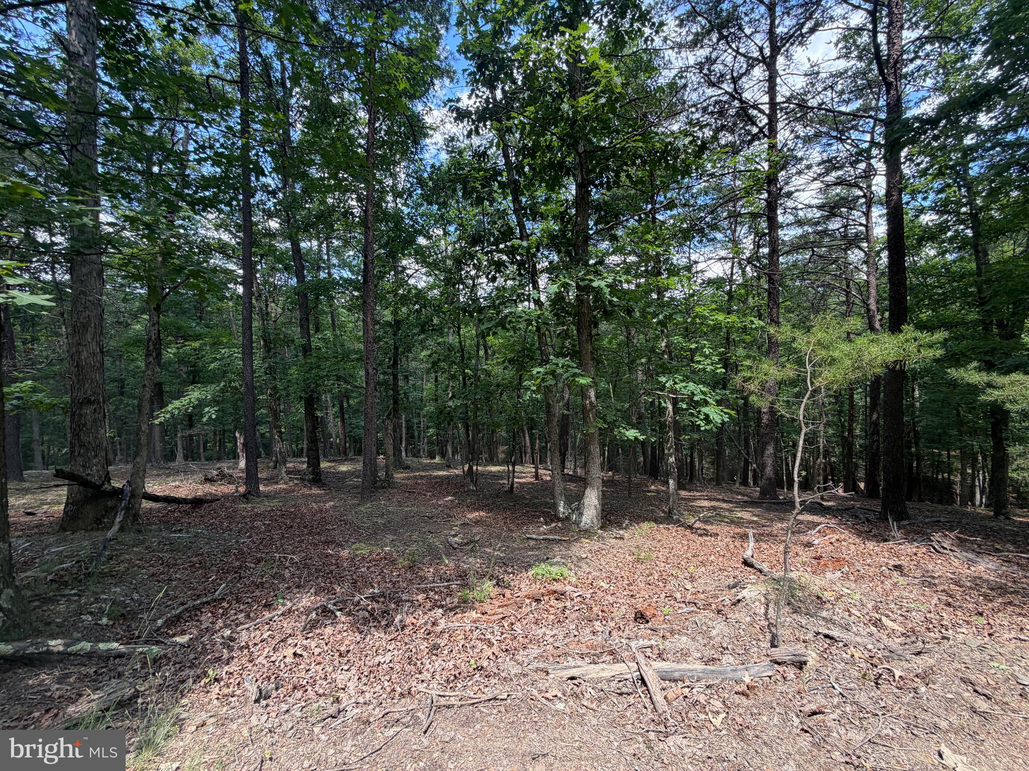 0 Headsville Road Keyser, WV 26726 - Photo 15 of 24