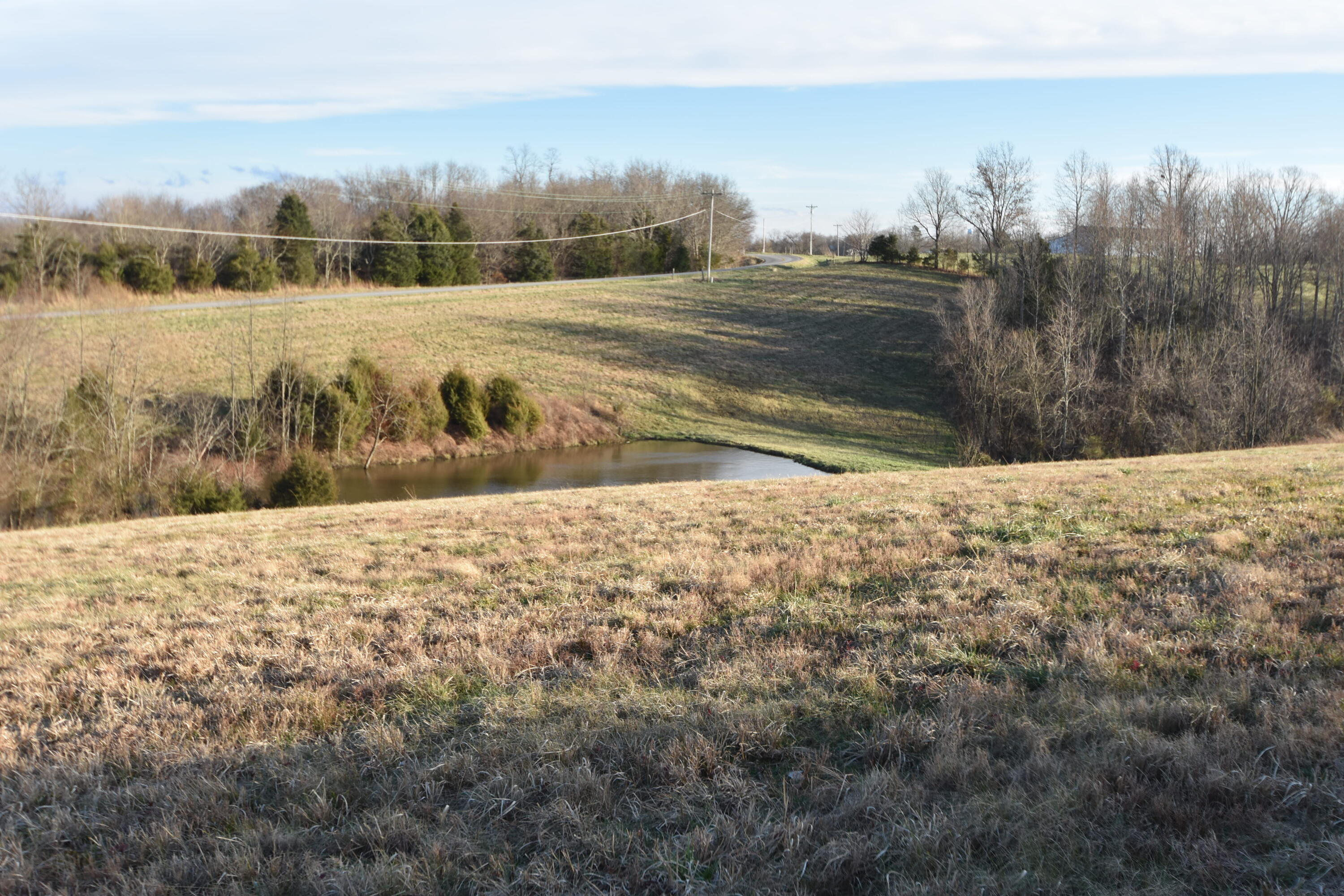 741 Chaplin Road, Unit 2 Willisburg, KY 40078 - Photo 6 of 20 006