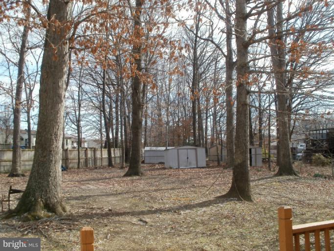 13113 Newgate Road Woodbridge, VA 22193 - Photo 10 of 15 Spacious Back Yard
