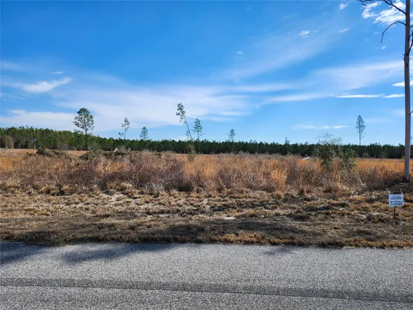 $62,900 | 80 211th Drive, Live Oak, FL 32060