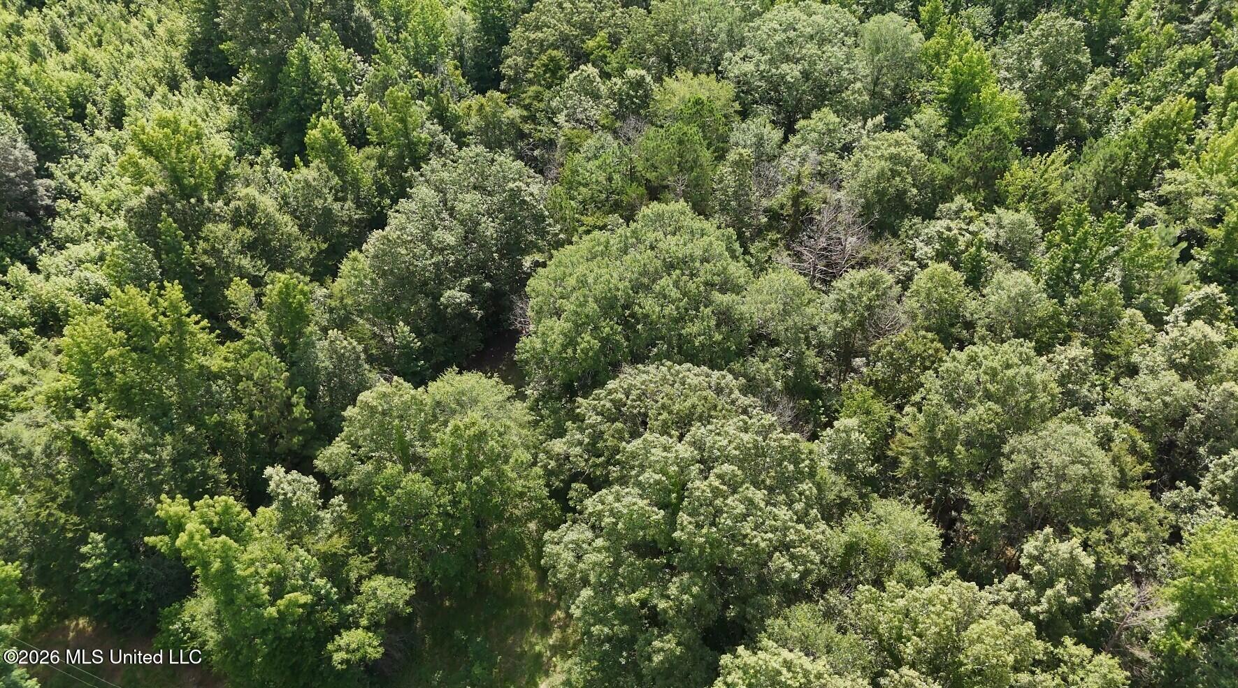 0 Chapel Hill Road Utica, MS 39175 - Photo 2 of 5 0 Chapel Hill 3