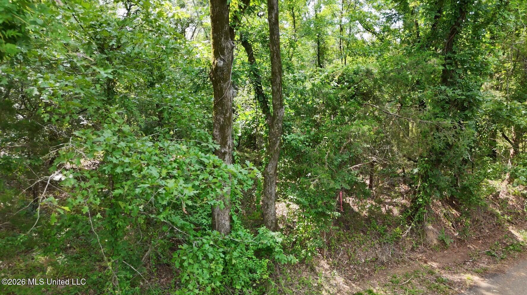 0 Chapel Hill Road Utica, MS 39175 - Photo 4 of 5 0 Chapel Hill 5