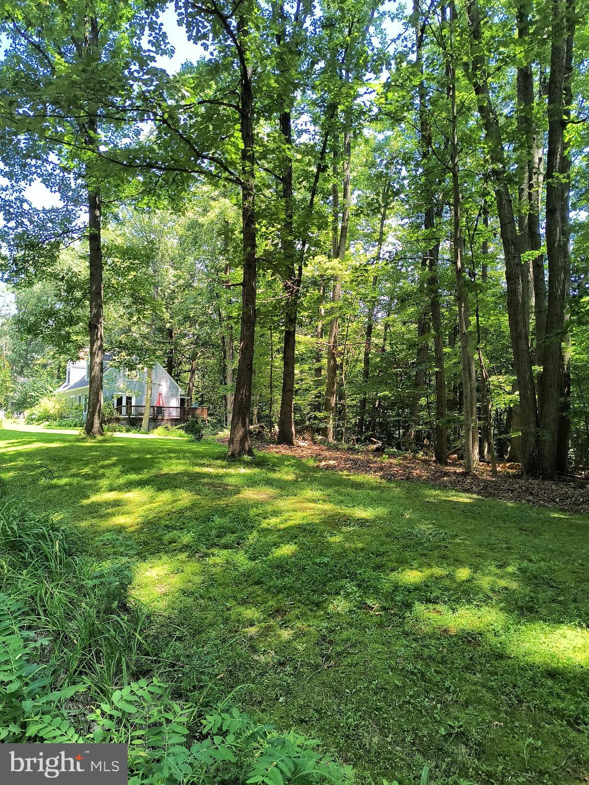 3917 Basford Road Frederick, MD 21703 - Photo 31 of 36 a view of a park with large trees