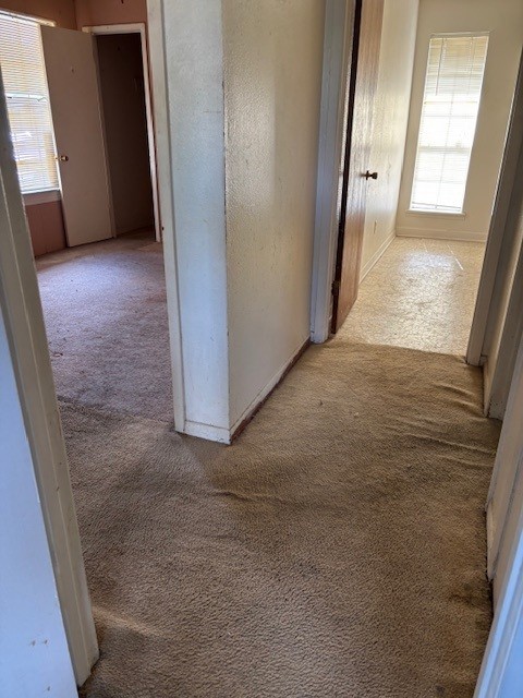 8615 Citation Court Houston, TX 77088 - Photo 9 of 23