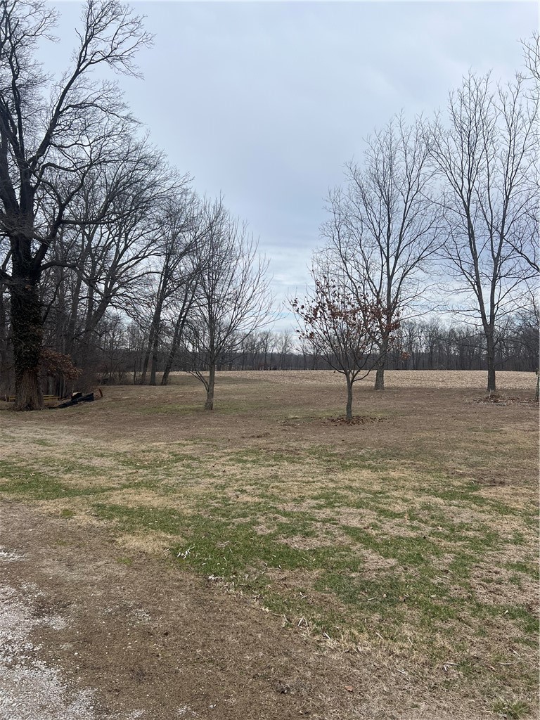13031 East 225th Road Paris, IL 61944 - Photo 24 of 24
