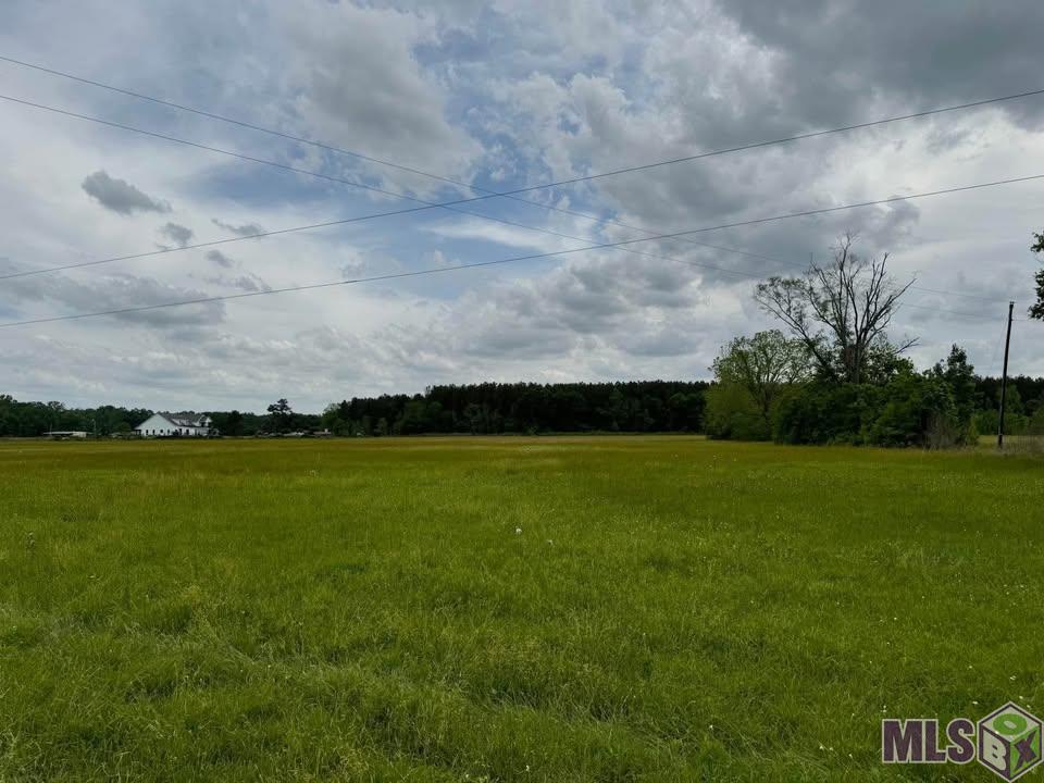 0 Blackwater Road Baker, LA 70714 - Photo 3 of 3 Gallery Image 3