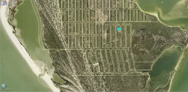 a view of beach and ocean