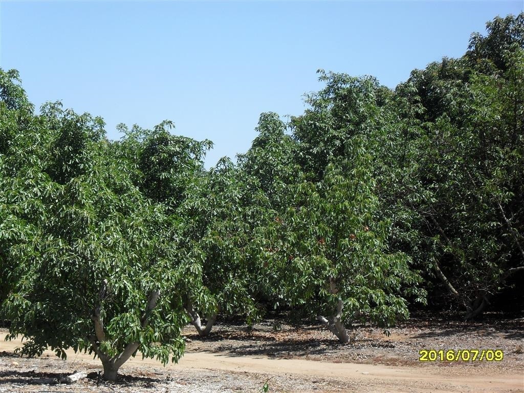 0 McNally Road Valley Center, CA 92082 - Photo 1 of 9