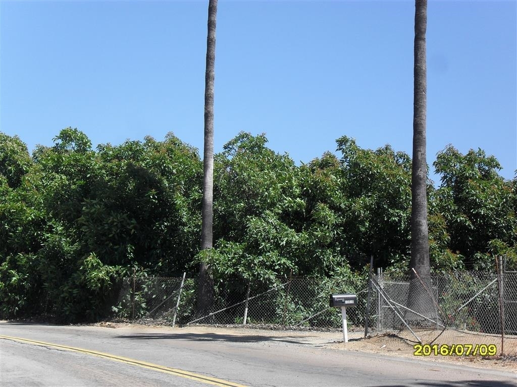 0 McNally Road Valley Center, CA 92082 - Photo 4 of 9