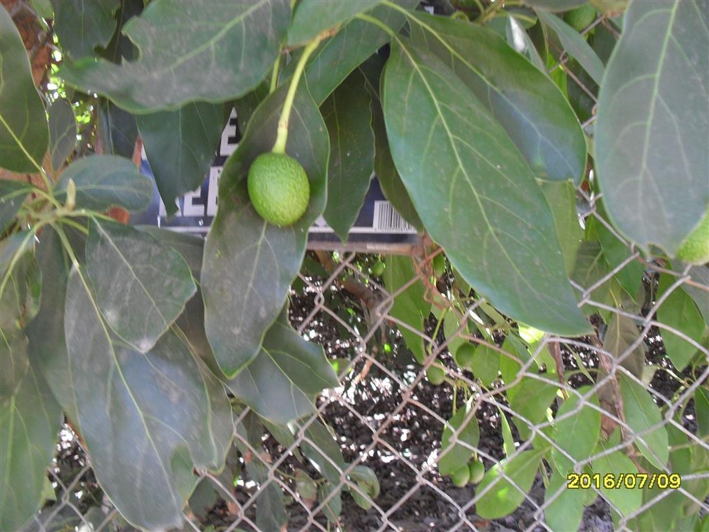 0 McNally Road Valley Center, CA 92082 - Photo 7 of 9