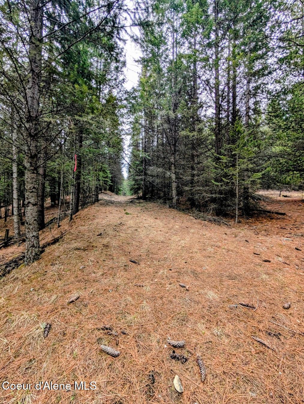 Nna Kootenai Trail Road Bonners Ferry, ID 83805 - Photo 11 of 17 Peaceful Paradise Valley