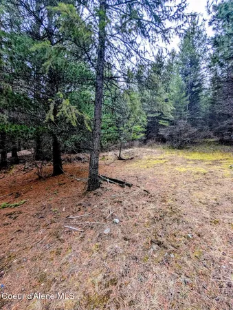 $298,900 | Nna Kootenai Trail Road, Bonners Ferry, ID 83805