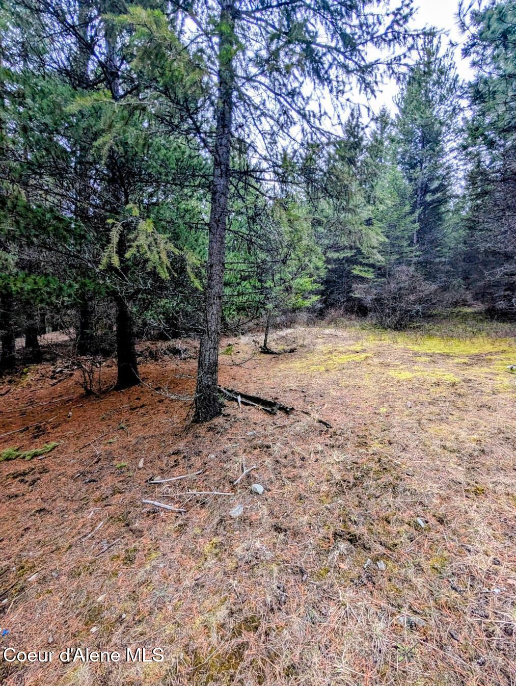 Nna Kootenai Trail Road Bonners Ferry, ID 83805 - Photo 12 of 17 Lots of level places