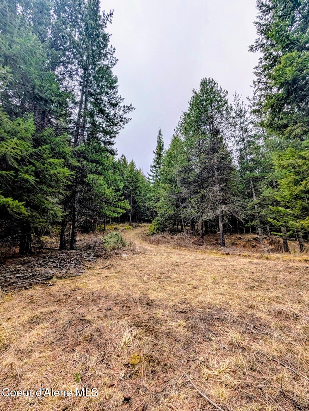 Nna Kootenai Trail Road Bonners Ferry, ID 83805 - Photo 15 of 17 Storybook setting