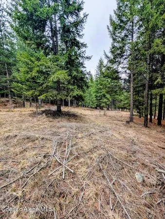 $298,900 | Nna Kootenai Trail Road, Bonners Ferry, ID 83805