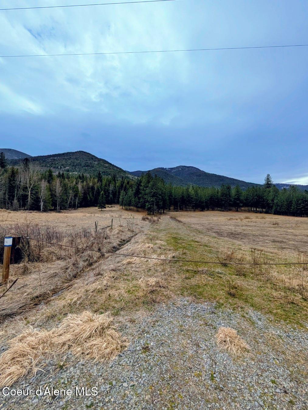 Nna Kootenai Trail Road Bonners Ferry, ID 83805 - Photo 6 of 17 Nice mix