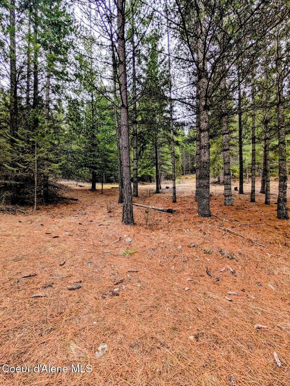 Nna Kootenai Trail Road Bonners Ferry, ID 83805 - Photo 7 of 17 Many building spots