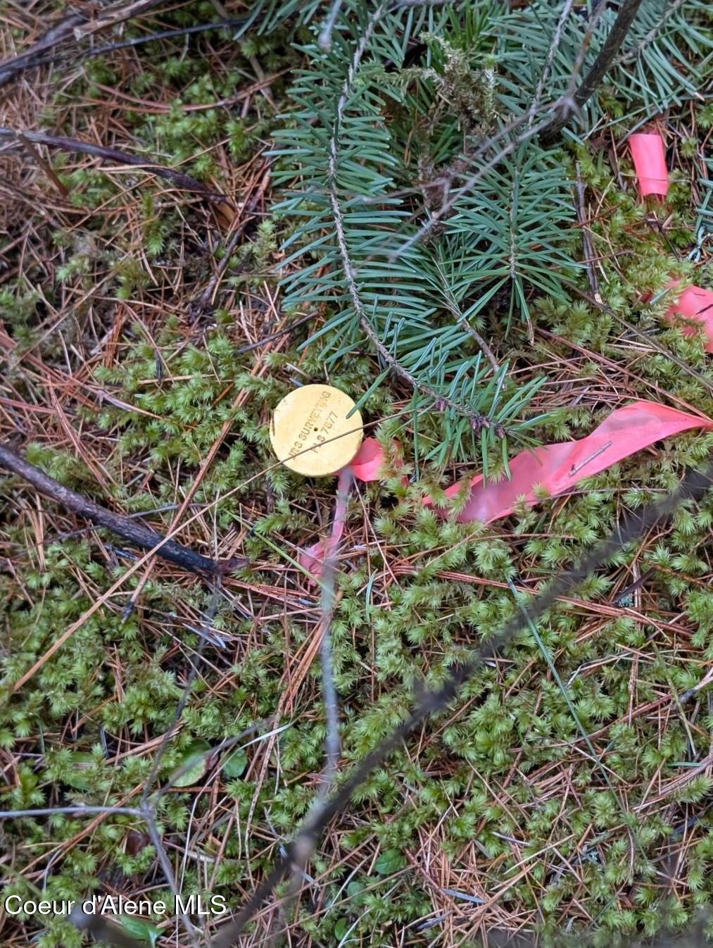 Nna Kootenai Trail Road Bonners Ferry, ID 83805 - Photo 9 of 17 Surveyed