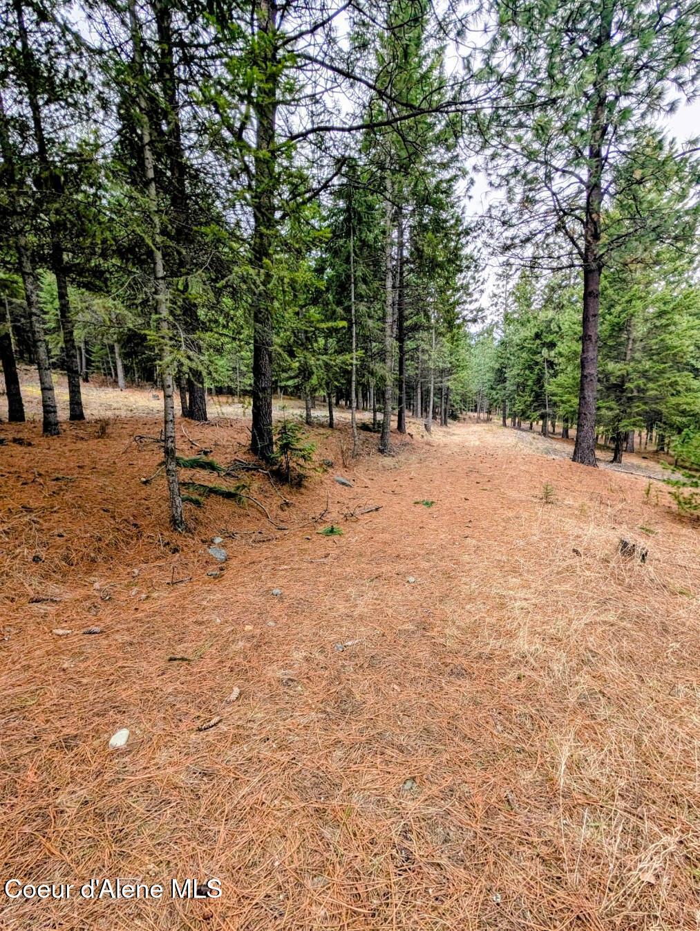 Nna Kootenai Trail Road Bonners Ferry, ID 83805 - Photo 10 of 17 Beautiful