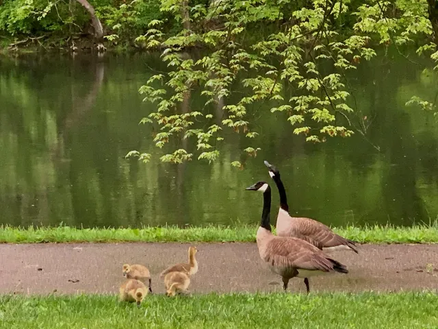 $34,900 | 11151 Cedar Street, Brookville, IN 47012