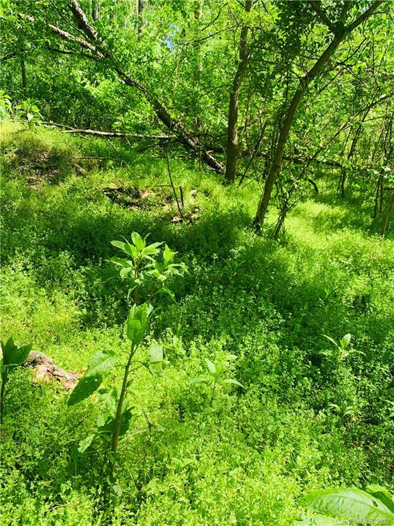 15015 Ranson Road Huntersville, NC 28078 - Photo 10 of 19 a view of a lush green space