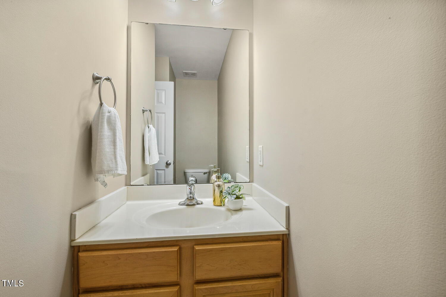 1984 Sadler Avenue Creedmoor, NC 27522 - Photo 22 of 44 a bathroom with a sink and a mirror