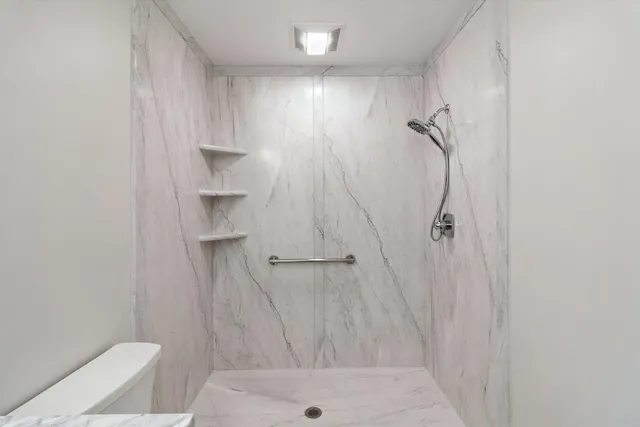 a bathroom with a shower and a toilet