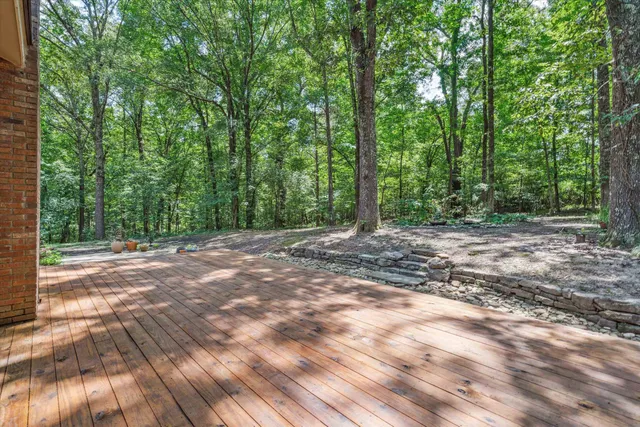 a view of backyard with green space