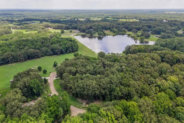 an aerial view of green landscape with trees houses and lake view
