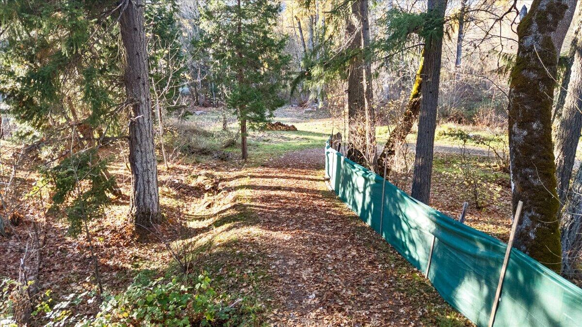 95 Barton Road Glendale, OR 97442 - Photo 3 of 12 a view of a yard with large trees